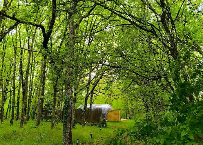 Bulle Passion & Luxuszelt *